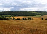 Photo Harvesting Fields