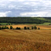 Photo Harvesting Fields