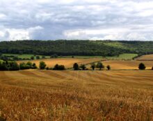 Photo Harvesting Fields