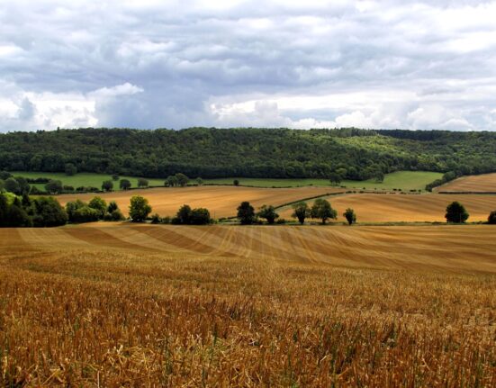 Photo Harvesting Fields