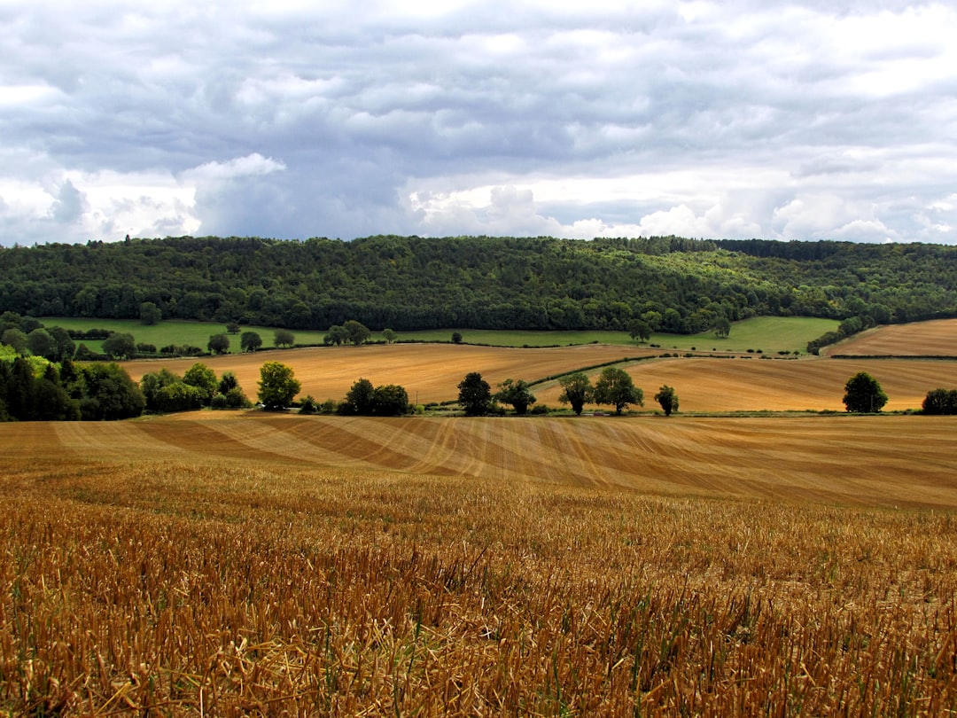Photo Harvesting Fields